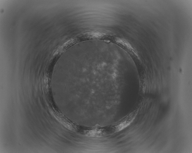 X0000084520366200703091608