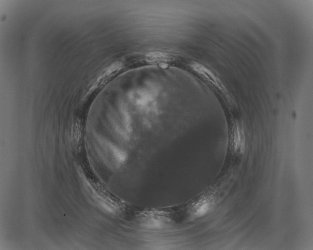 X0000084520367200703091608