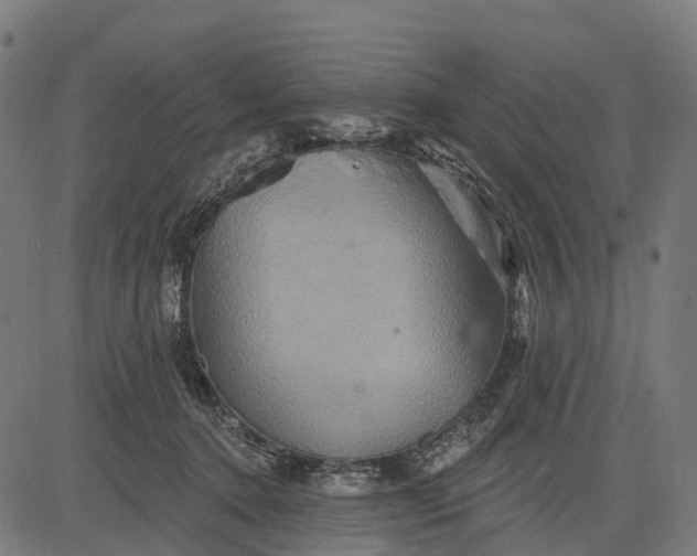 X0000084520368200703091608