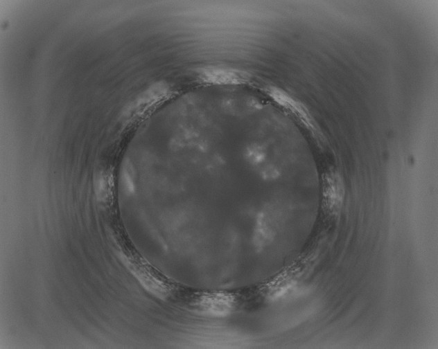 X0000084520369200703091608