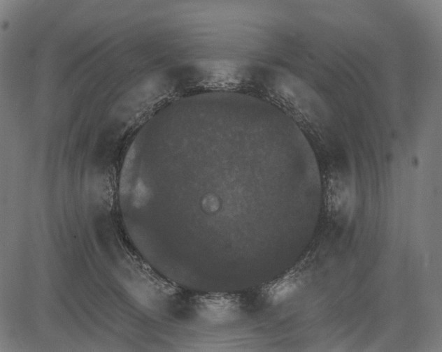 X0000084520370200703091608