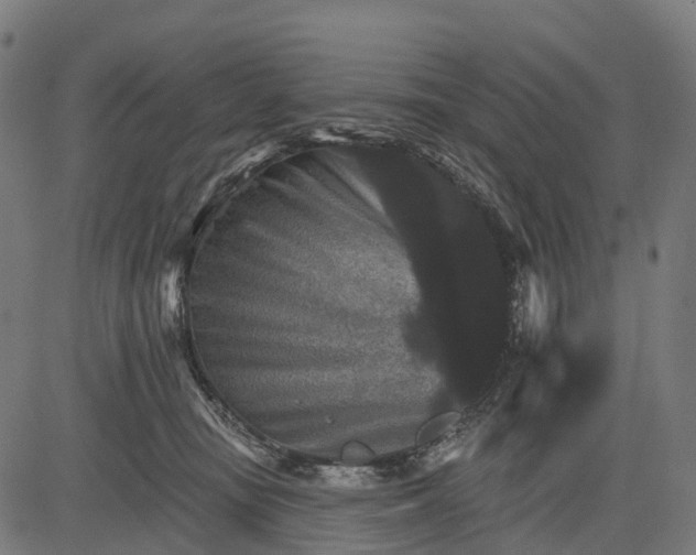 X0000084520371200703091608