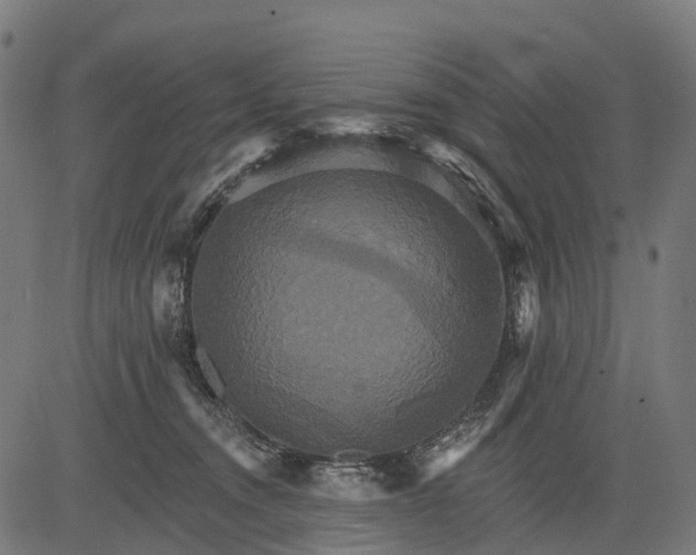 X0000084520372200703091608