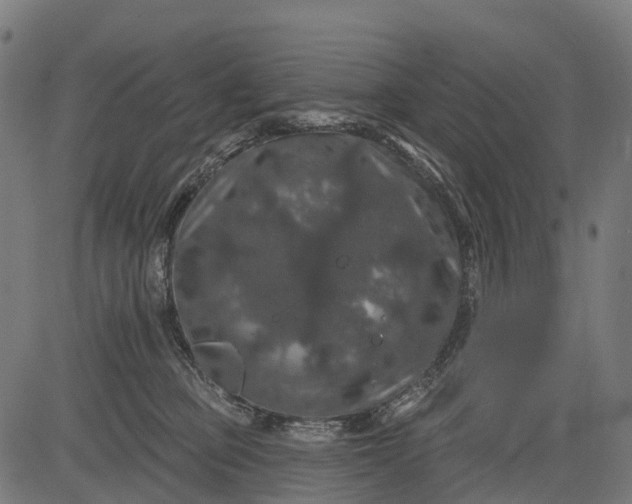 X0000084520373200703091608