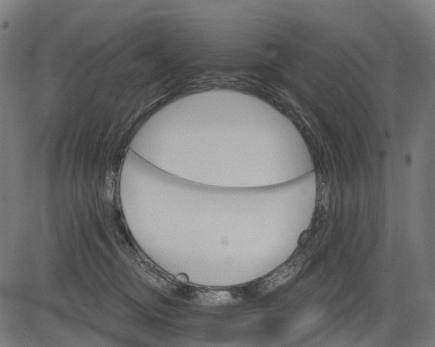 X0000084520374200703091608