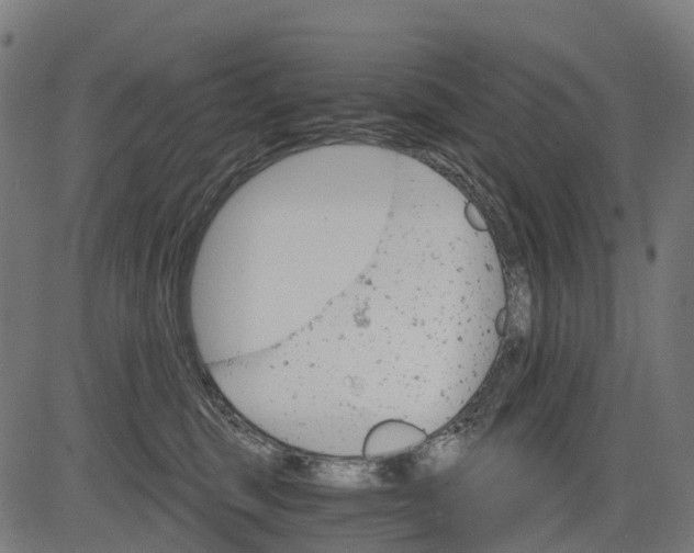 X0000084520375200703091608