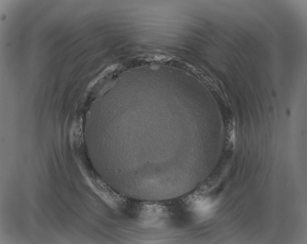 X0000084520376200703091608