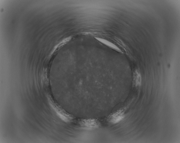 X0000084520377200703091608