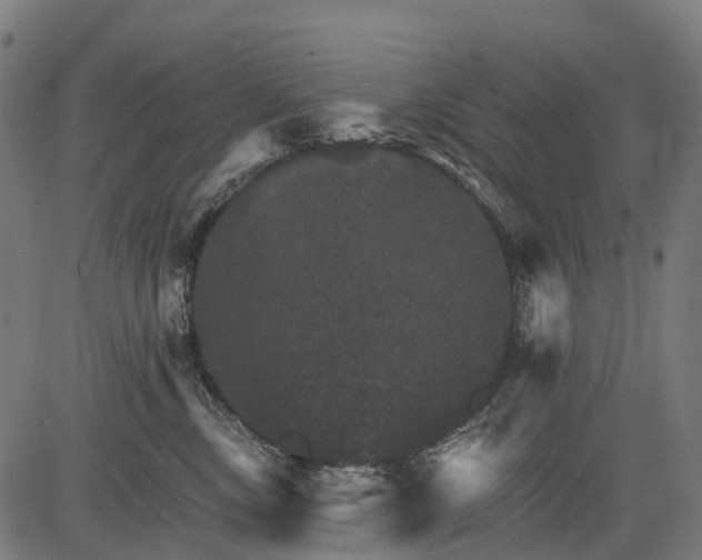 X0000084520378200703091608