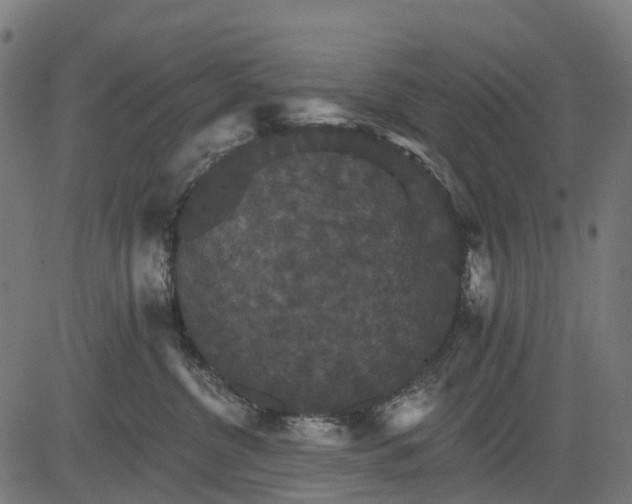 X0000084520380200703091608