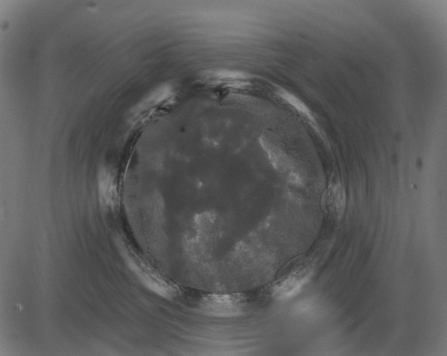 X0000084520381200703091608