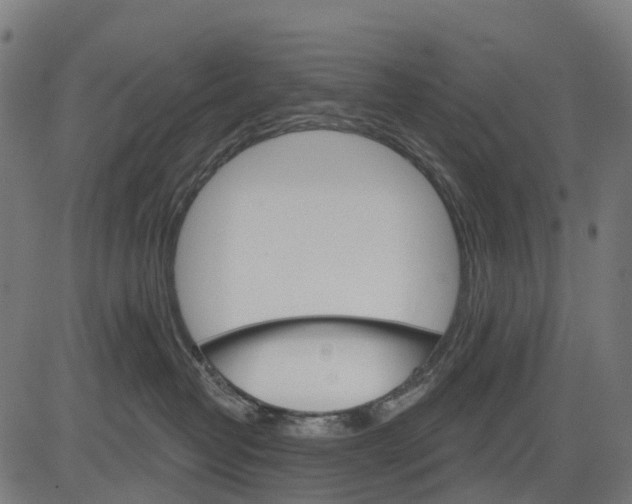 X0000084520382200703091608