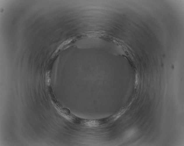 X0000084520383200703091608