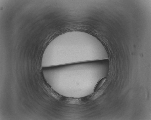 X0000084520384200703091608