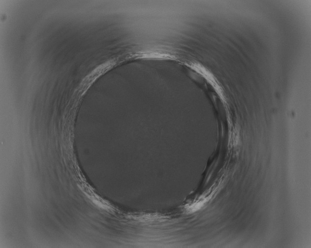 X0000084520385200703091608