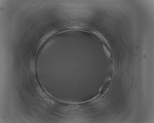 X0000084520386200703091608