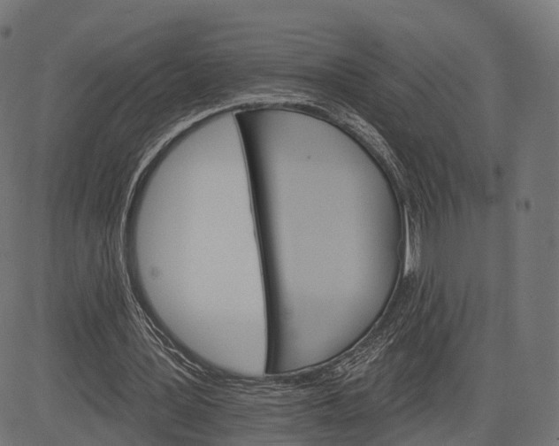 X0000084520387200703091608