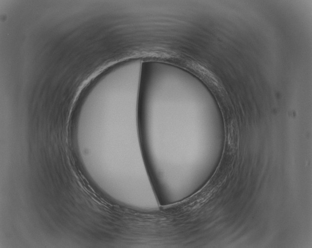 X0000084520388200703091608