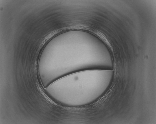 X0000084520389200703091608