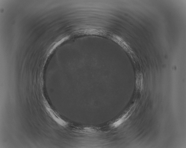 X0000084520390200703091608