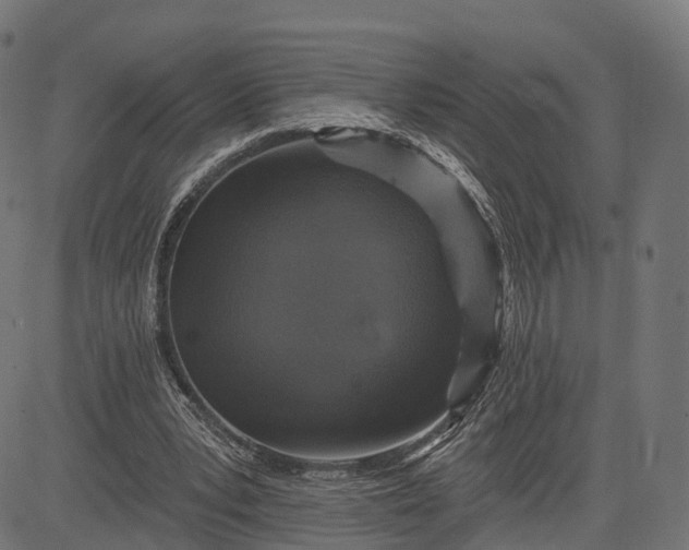 X0000084520391200703091608