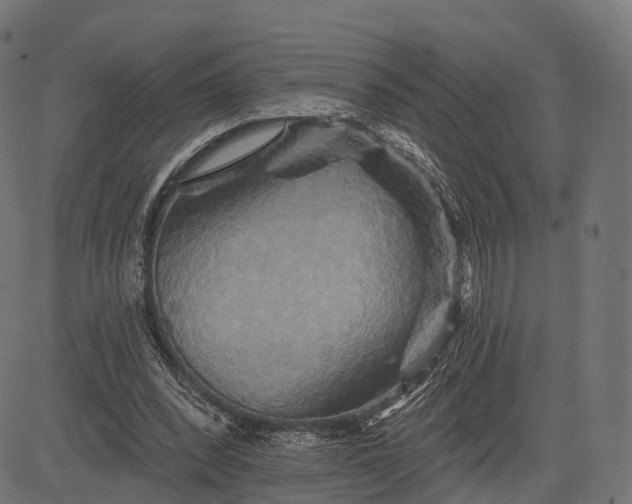 X0000084520392200703091608