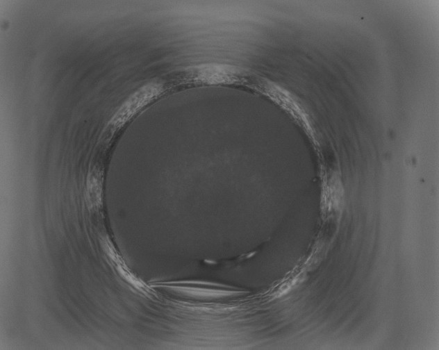 X0000084520393200703091608