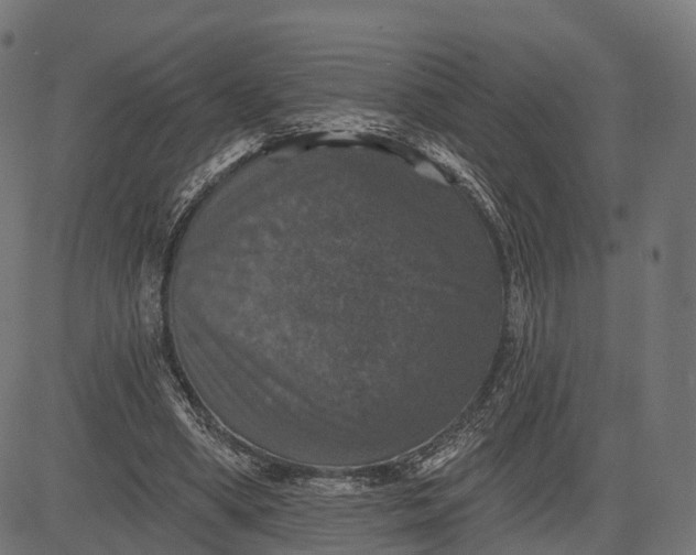 X0000084520394200703091608