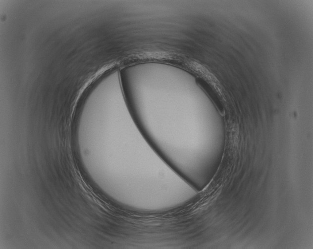 X0000084520395200703091608