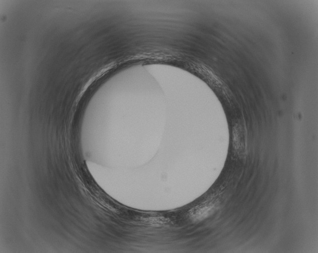 X0000084520396200703091608