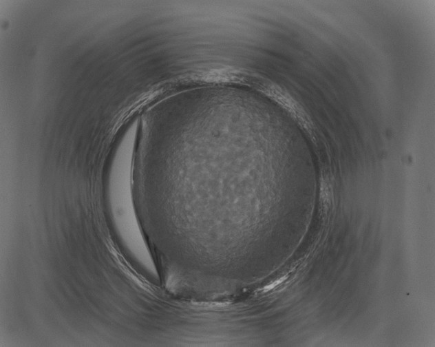 X0000084520397200703091607