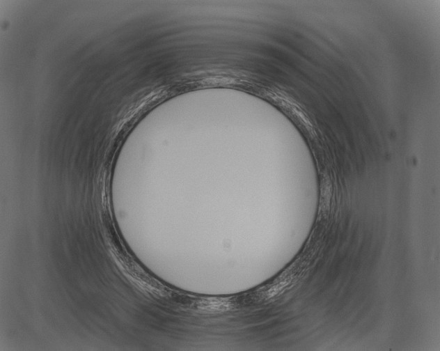 X0000084520398200703091607