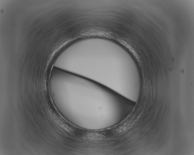 X0000084520399200703091607