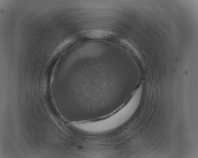 X0000084520400200703091607