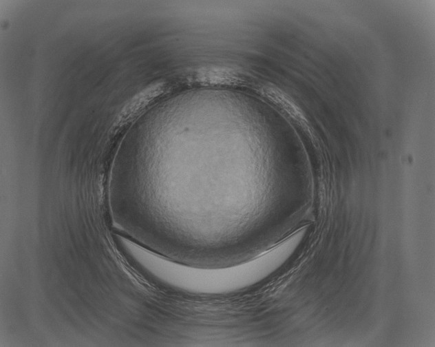 X0000084520401200703091607