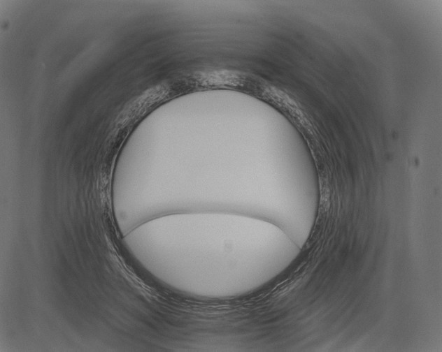 X0000084520402200703091607