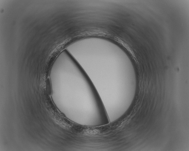 X0000084520403200703091607