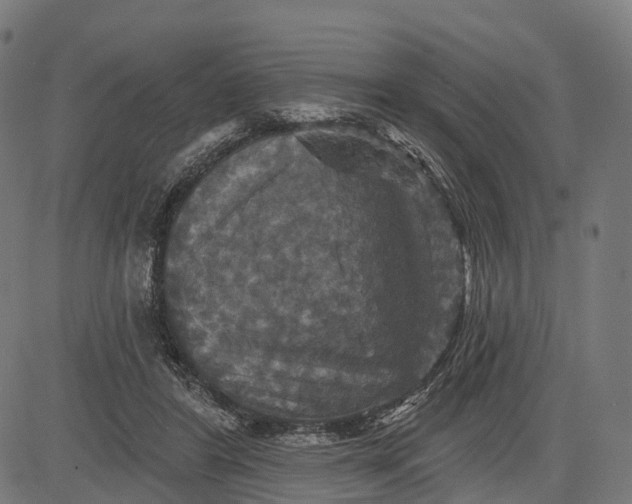 X0000084520404200703091607