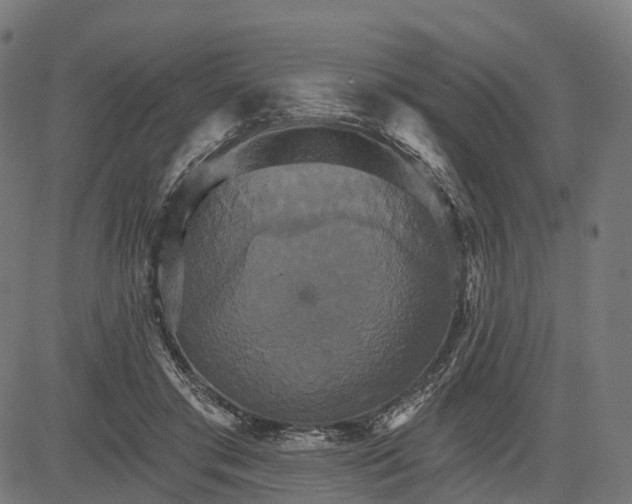 X0000084520405200703091607