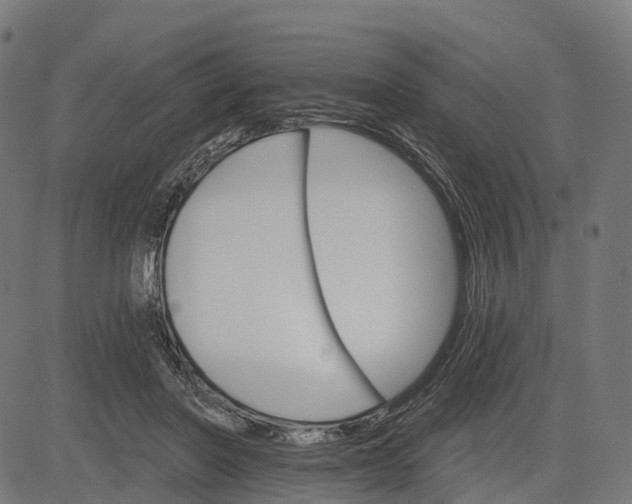 X0000084520406200703091607