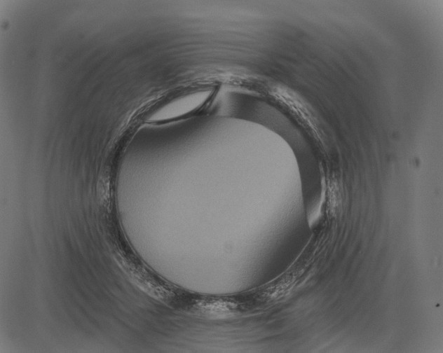 X0000084520407200703091607