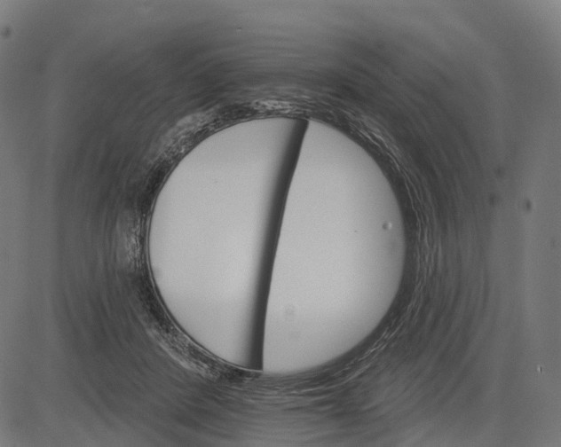 X0000084520408200703091607