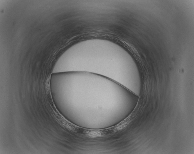 X0000084520409200703091607