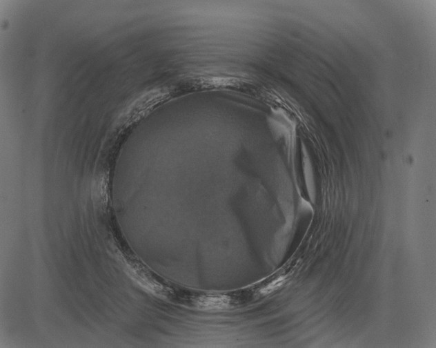 X0000084520410200703091607