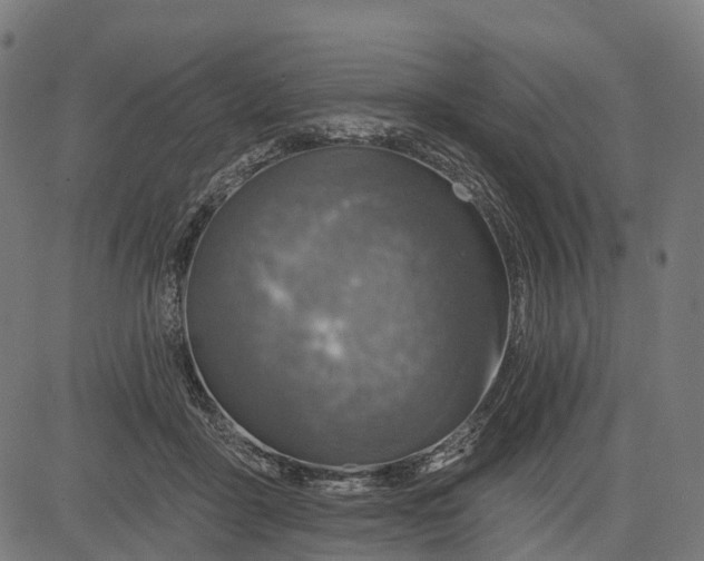 X0000084520411200703091607