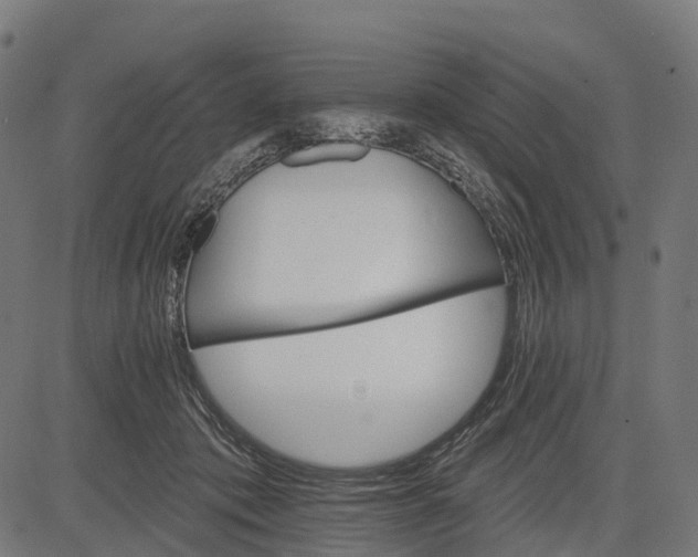 X0000084520413200703091607