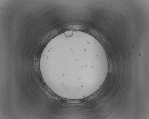 X0000084520414200703091607