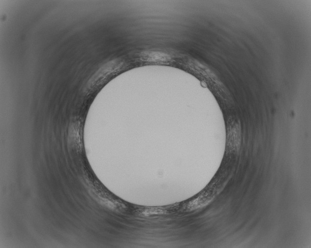 X0000084520415200703091607