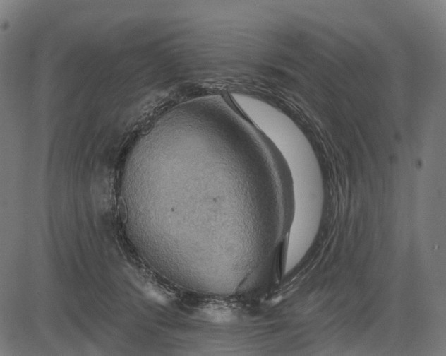 X0000084520416200703091607