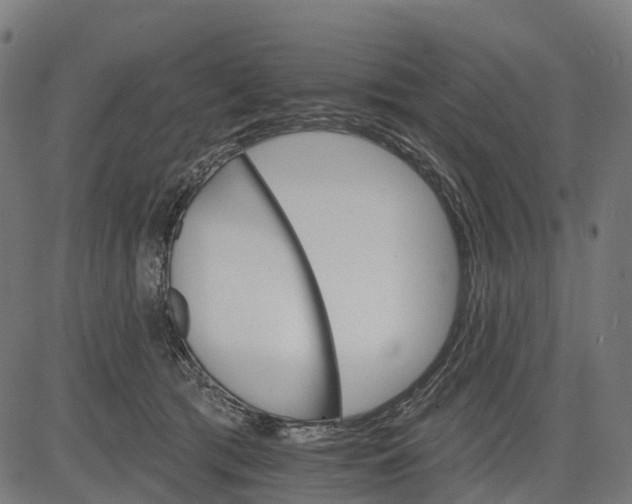 X0000084520417200703091607